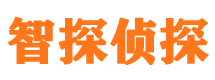 绥棱市私家侦探